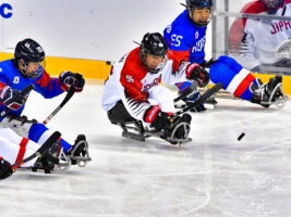 アイスホッケー